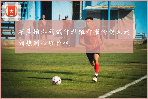 布莱顿加码武什科维奇报价仍未达到热刺心理价位