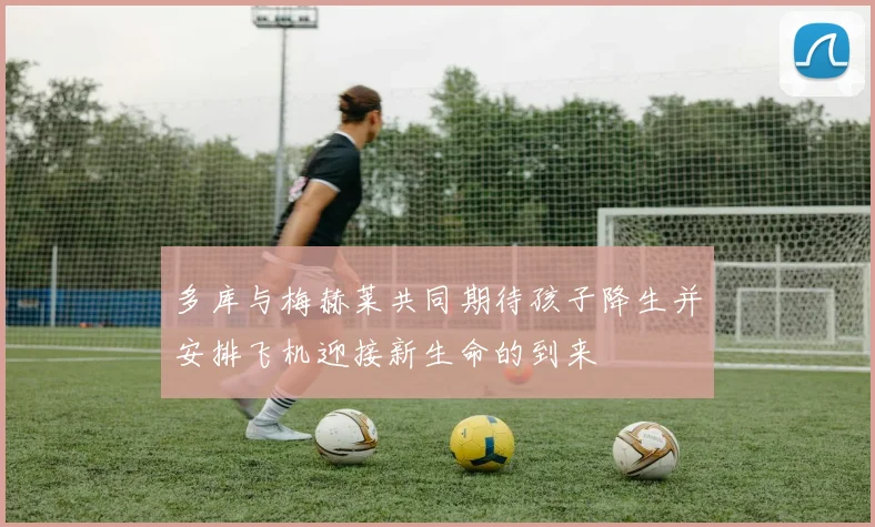 多库与梅赫莱共同期待孩子降生并安排飞机迎接新生命的到来